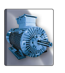  Flameproof Motors- (Ex d)