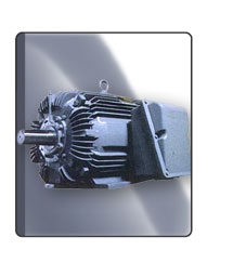 Premium Efficiency Heavy Duty Induction Motor