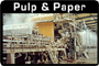 Pulp & Paper